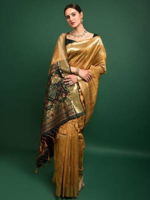 Woven Design Zari Patola Saree 2