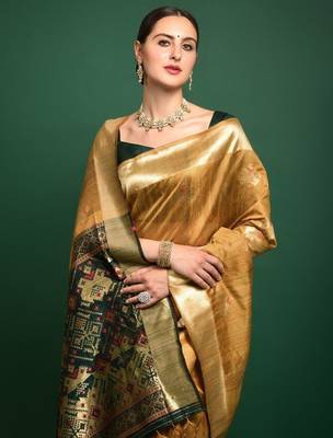 Woven Design Zari Patola Saree 3