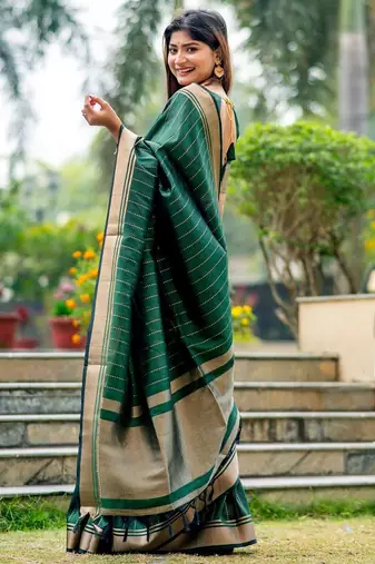 Striped Woven Design Zari Bhagalpuri Saree