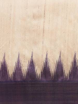 Solid Silk Cotton Saree 4