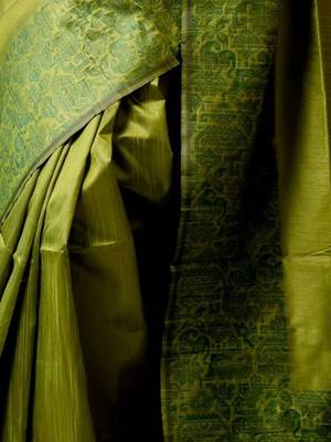 Zari Bhagalpuri Saree 4