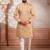 Chikoo embroidered fancy kurta payjama for men