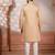 Chikoo embroidered fancy kurta payjama for men