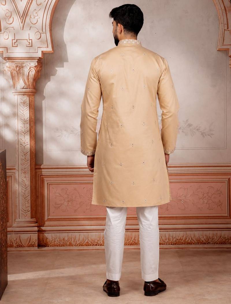 Chikoo embroidered fancy kurta payjama for men