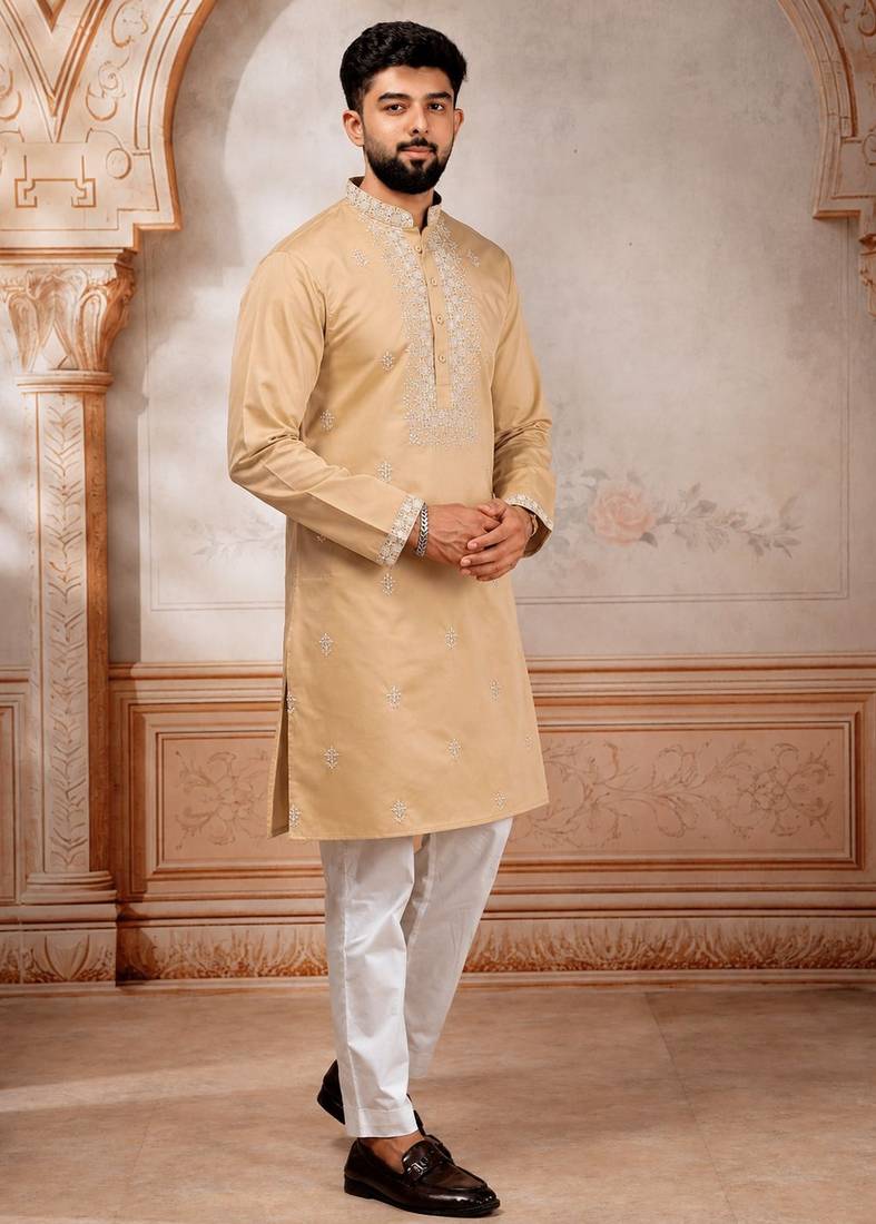 Chikoo embroidered fancy kurta payjama for men