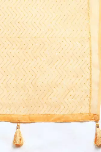 Embellished Sequinned Saree