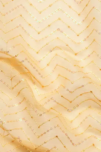 Embellished Sequinned Saree