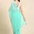 Embellished Sequinned Saree