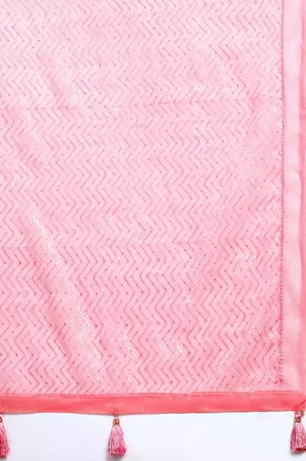 Embellished Sequinned Saree
