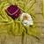 Olive chiffon embroidered saree with sequins work