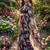 multicolor georgette printed saree with floral print