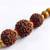 religious rudraksh & red thread rakhi with roli chawal chandan mishri