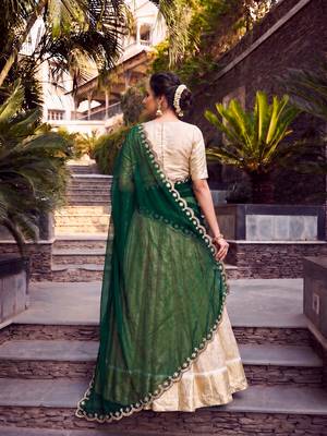 Women Ethnic Wear Jacquard Zari Weaving Lehenga Choli Set with Heavy Dupatta 3