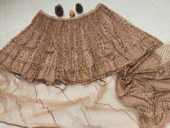 brown net lehenga choli with embroidered pallu and resham work 4