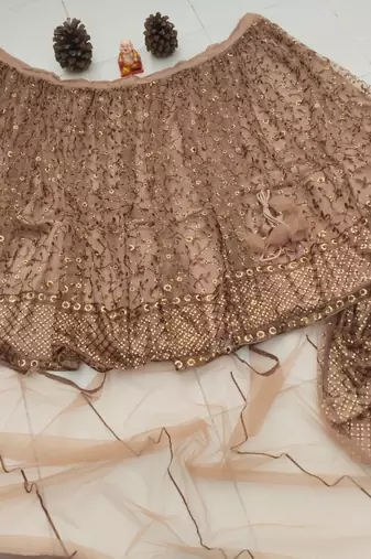 brown net lehenga choli with embroidered pallu and resham work