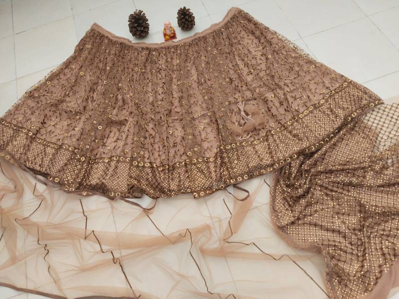 brown net lehenga choli with embroidered pallu and resham work