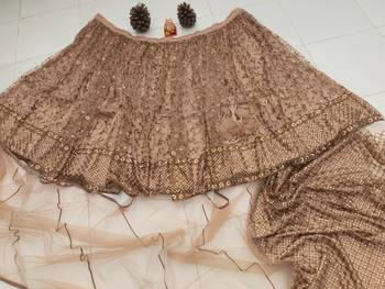 brown net lehenga choli with embroidered pallu and resham work 5
