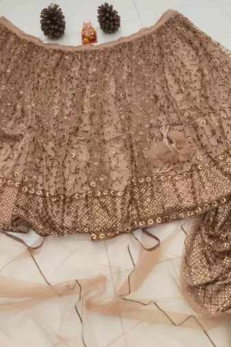 brown net lehenga choli with embroidered pallu and resham work