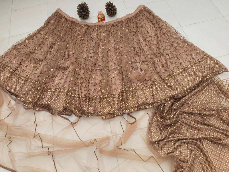 brown net lehenga choli with embroidered pallu and resham work