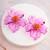 Lilac orange flower stud earrings