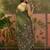 Olive linen printed saree with blouse