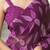 Purple chiffon printed saree with blouse