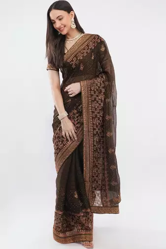 Brown tissue embroidered saree with blouse