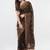 Brown tissue embroidered saree with blouse