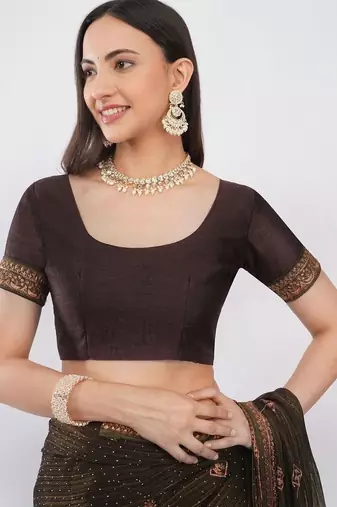 Brown tissue embroidered saree with blouse