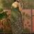 Olive linen printed saree with blouse