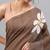Brown linen printed saree with blouse