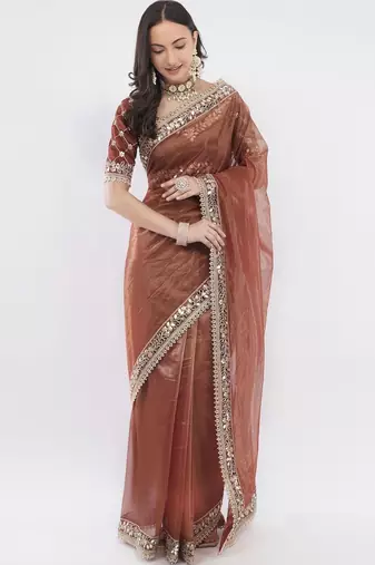 Brown net embellished saree with blouse
