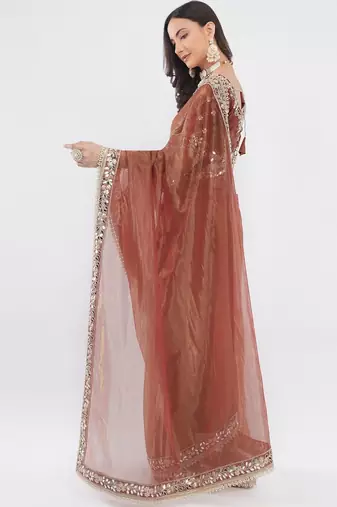 Brown net embellished saree with blouse