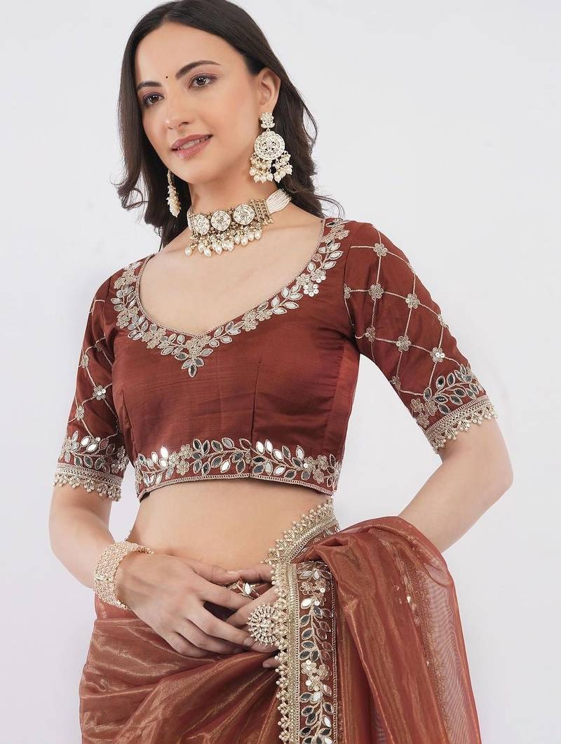 Brown net embellished saree with blouse