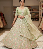new designer party wear indian and pakistai lehanga 