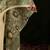 Women Floral Embroidered Regular Thread Work Kurta with Trousers & With Dupatta
