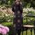 Women Ethnic Motifs Printed Regular Pure Cotton Kurta with Trousers