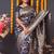 Navy blue silk blend banarasi saree with zari weaving