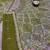 olive green Embroidery Sequins With Cancan Net Lehenga Choli Set