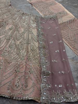 Onion Pink Coding Sequins Stone With Cancan Net Lehenga Choli Set 5