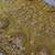 yellow Embroidery Sequins With Cancan silk blend Lehenga Choli Set
