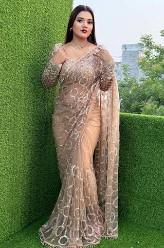 Cream butterfly net embroidered saree with unstitched blouse