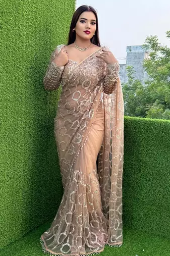 Cream butterfly net embroidered saree with unstitched blouse