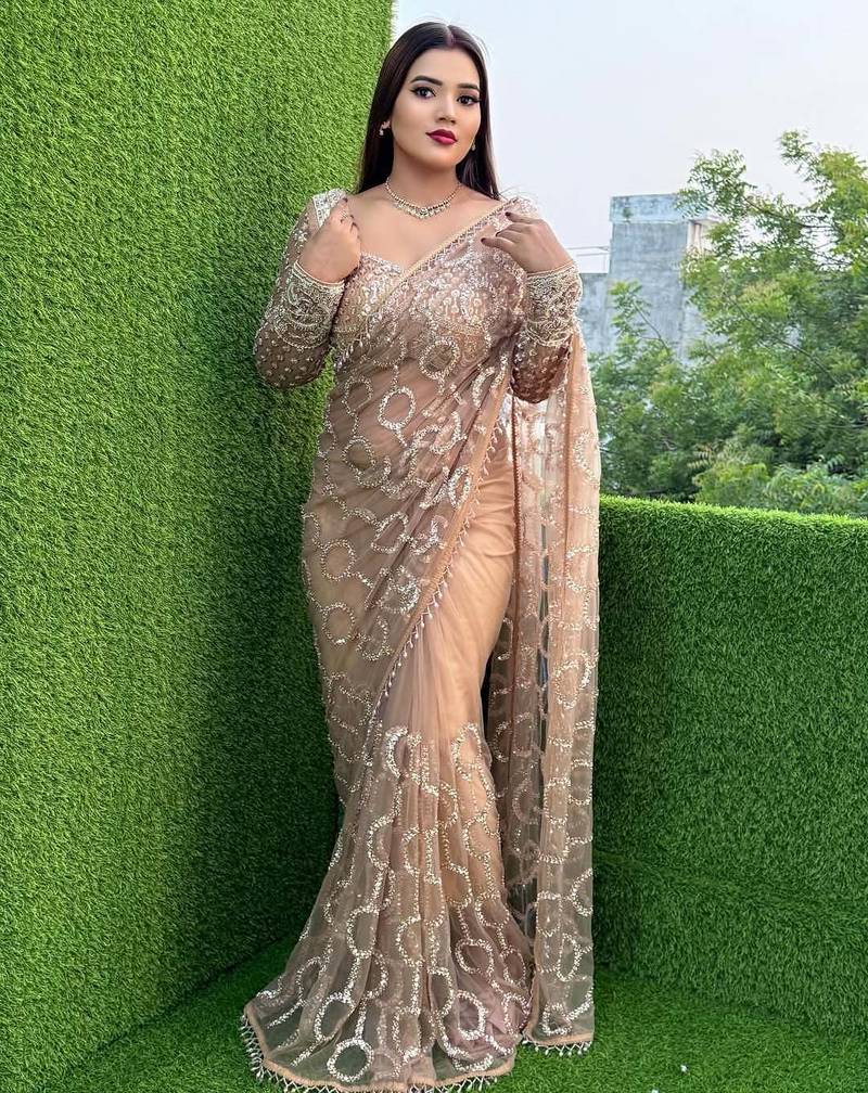 Cream butterfly net embroidered saree with unstitched blouse