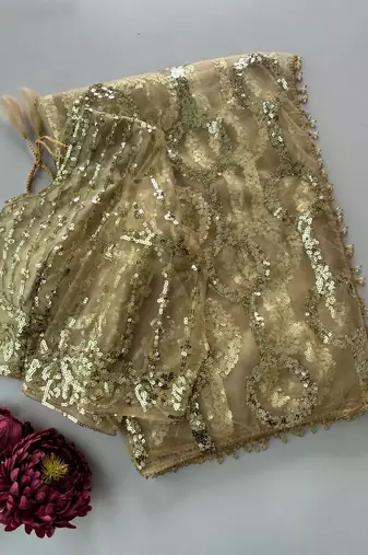 Cream butterfly net embroidered saree with unstitched blouse