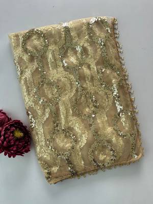 Cream butterfly net embroidered saree with unstitched blouse 5