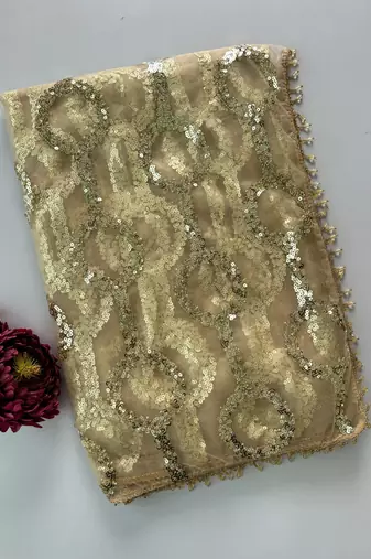 Cream butterfly net embroidered saree with unstitched blouse