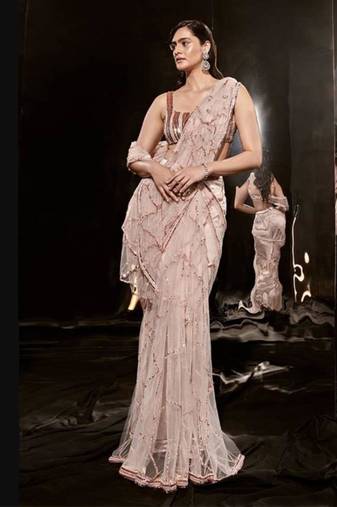 Pinkish Nude Embroidered Saree