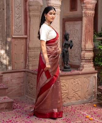 Maroon embroidered pure tissue silk saree 3