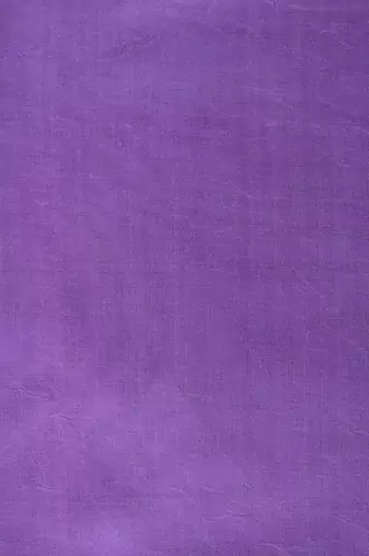 Purple embroidered pure tissue silk saree